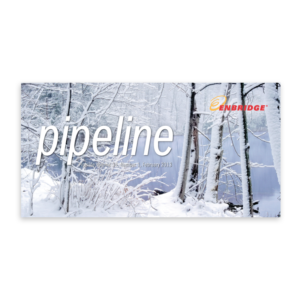 Pipeline201302Feature